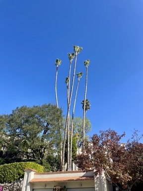 IMG_3702.jpeg